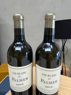 2012 Chateau Palmer Vin Blanc de Palmer - Bordeaux - 2, Collections