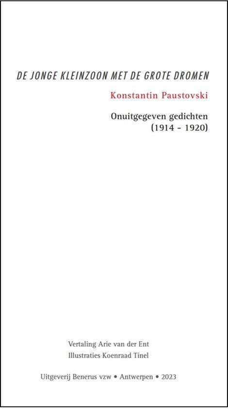 De jonge kleinzoon met de grote dromen 9789464073331, Boeken, Literatuur, Zo goed als nieuw, Verzenden