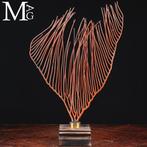 Magnifique Gorgonia rouge sur une base en bois et en laiton., Collections