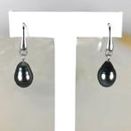 Zonder minimumprijs - Oorbellen Zilver Parel -, Nieuw