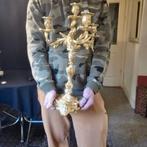 Kaarsenhouder (2) - Verguld brons - Top in het goud, Antiek en Kunst