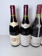 1979 x 4 Bouchard Aine & Fils Fixin Clos du Chapitre, 2003, Verzamelen, Nieuw