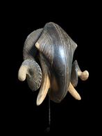 belier - Baoule-45cm - Côte dIvoire (Sans Prix de Réserve)