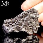 Campo del Cielo - Meteoriet – Buitenaards fragment - Hoogte: