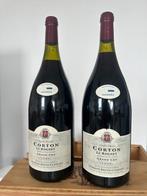 1999 Domaine Bruno Cavelier Le Rognet - Corton Grand Cru - 2, Nieuw