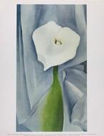 Georgia OKeeffe - Calla Lily on Grey, 1928 - Artprint - 36