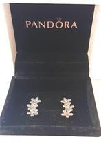 Zonder minimumprijs - Pandora - Oorbellen Zilver, Nieuw