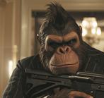 Collectibles & Co. - BananaFace - “Donkey Montana” by, Nieuw