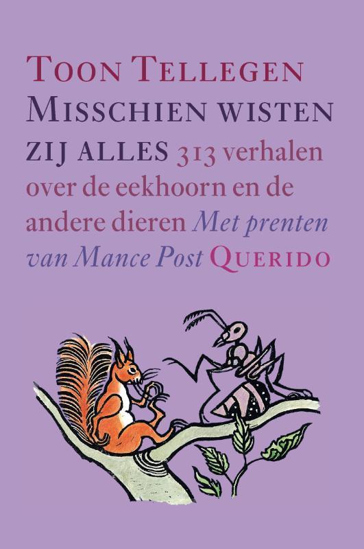 Misschien wisten zij alles 9789045101002 Toon Tellegen, Boeken, Kinderboeken | Jeugd | 10 tot 12 jaar, Gelezen, Verzenden
