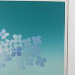 Hydrangea - Sérigraphie - Kozo Inoue  (1937-) - Japon -