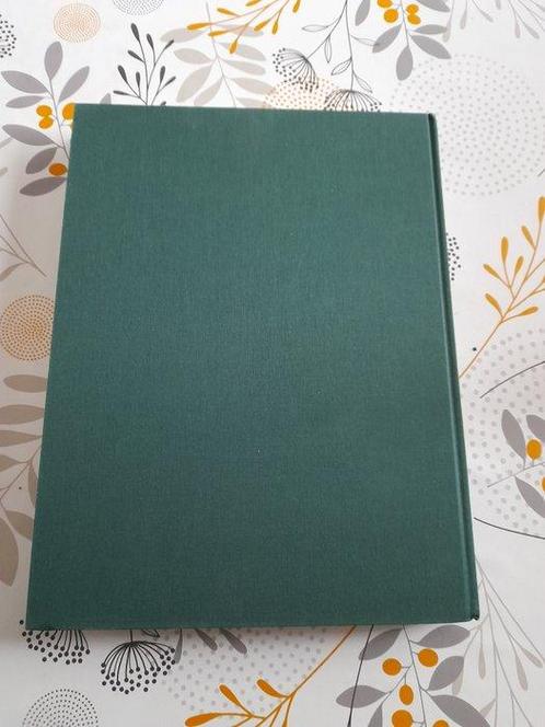 Suske en Wiske - De oosterse trilogie grote luxe hardcover, Boeken, Stripverhalen