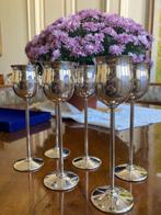 Bekerglas (6) - grappa glazen - Zilver, Antiek en Kunst