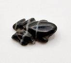 Bactrische of Sino-Siberische Natuurlijke Band Onyx XXS
