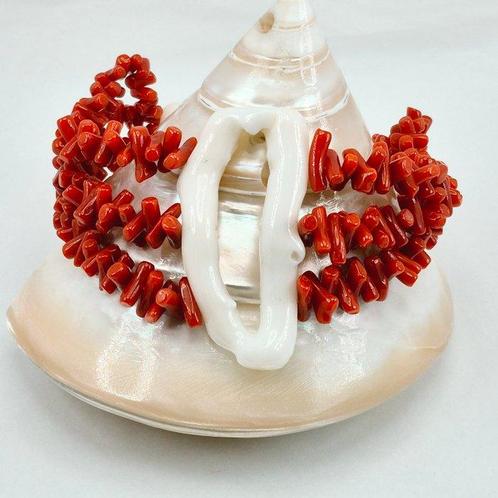 Bloedkoraal - Zilver - Armband - Middellandse Zee Koralen, Verzamelen, Dierenverzamelingen
