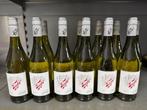 2018 Tzk Pannon Grüner Veltliner - Tolna - 12 Flessen, Nieuw