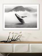 Rudy barret - Whale in the Mist - XL