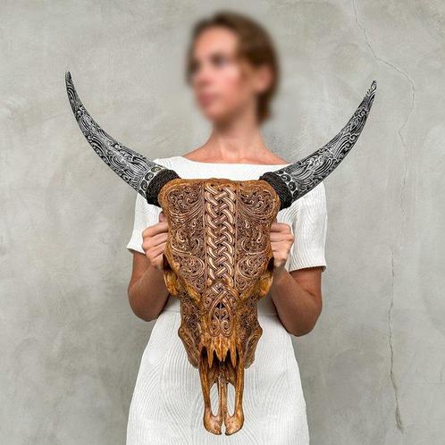 GEEN RESERVEPRIJS - Gesneden bruine koeienschedel met, Antiek en Kunst, Kunst | Designobjecten