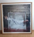 Pierre Gayte - Bison Blanc