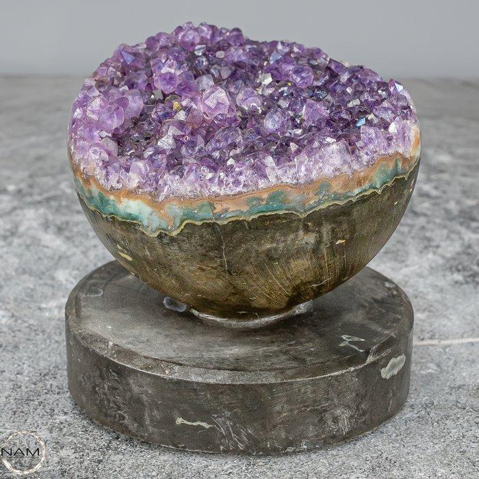 Topkwaliteit amethist-Druse op natuurlijke basis Uruguay-, Antiek en Kunst, Curiosa en Brocante