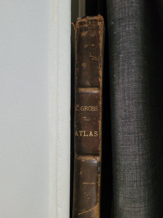 Alexander Gross - Atlas Alexander Gross - 1930, Boeken, Atlassen en Landkaarten