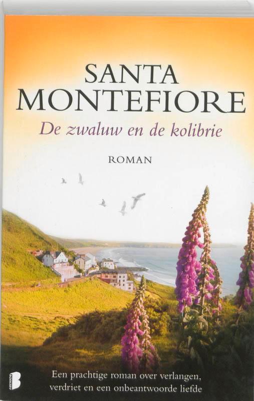De zwaluw en de kolibrie 9789022555712 Santa Montefiore, Boeken, Romans, Gelezen, Verzenden