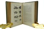 Charles Darwin - The Descent of Man and Selection in