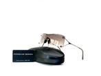 Porsche Design - P8620-B, Cat.2SP, Special Marcel Breuer