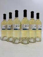 2025 Noelia Bebelia Albariño - Rias Baixas - 6 Flessen (0.75, Verzamelen, Nieuw