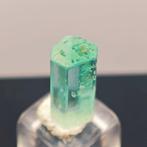 3,2 ct Cristal de vanadium émeraude de qualité TOP Juwel,