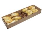 Protea repens suikerbossie - naturel cream (doos van 24, Huis en Inrichting, Nieuw