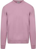 Colorful Standard Sweater Paars maat Maat 48/50 (M) Heren, Kleding | Heren, Truien en Vesten, Paars, Verzenden, Maat 48/50 (M)