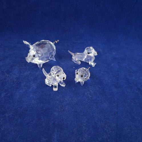 Swarovski - Figurine - Varken middel metalen staart, Varen, Antiek en Kunst, Curiosa en Brocante