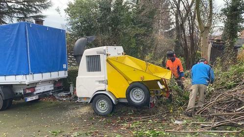 Location broyeur SAELEN VIPER 50 ,  région Liège, Diensten en Vakmensen, Verhuur | Gereedschap en Machines