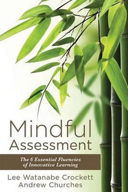 Mindful Assessment 9781942496885, Livres, Livres Autre, Envoi