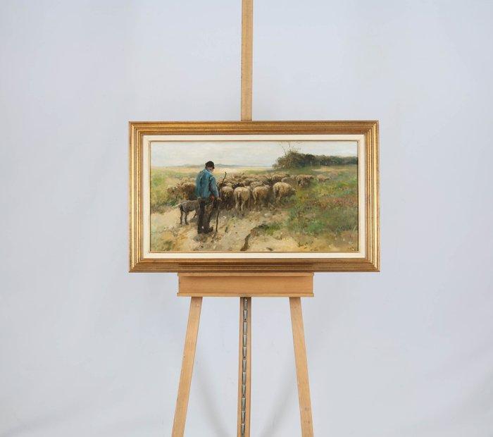 Willem Hendrik van der Nat (1864–1929) - Schaapsherder, Antiquités & Art, Art | Peinture | Classique