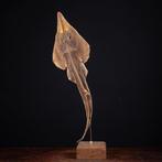 Guitarfish à nez de pelle sur un piédestal personnalisé -, Antiek en Kunst