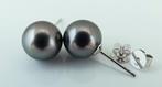 Oorbellen - 14 karaat Witgoud Parel - Lavendel Pauw, Rond, Handtassen en Accessoires, Nieuw