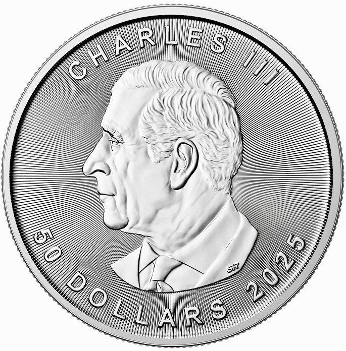 1 Troy Ounce - Platina .999 - maple Leaf 2025 - 31,1 gram -, Timbres & Monnaies, Métaux nobles & Lingots