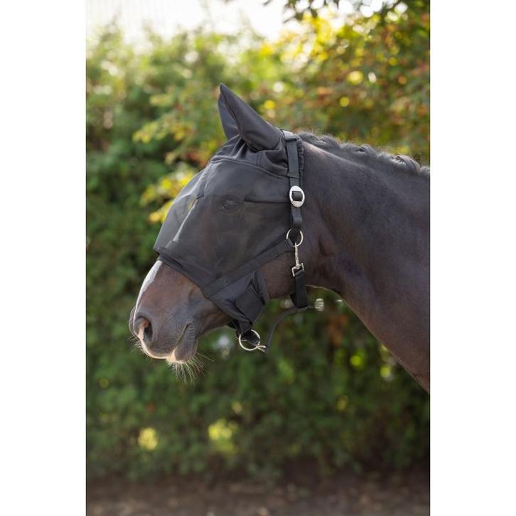 Licol ac masque prot. contre les mouches intégré, cheval -, Dieren en Toebehoren, Paarden en Pony's | Overige Paardenspullen