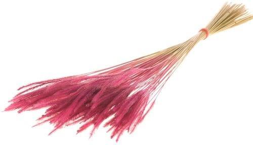 Soft Worms Grass alternatief voor Lagurus Pink, Huis en Inrichting, Woonaccessoires | Kunstplanten en Kunstbloemen, Nieuw