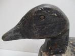 Lokeend - Antieke lokeend / appelant - Hout, Metaal, Antiek en Kunst