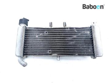 Radiateur Aprilia RS 125 2017-> (RS125), Verzenden