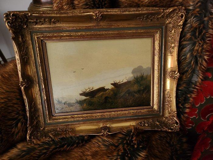 Carl Friedrich Deiker (1836-1892) - balgende Hirsche in der, Antiquités & Art, Art | Peinture | Classique