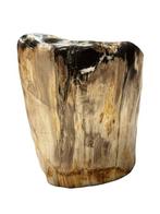 Bois fossile - Bois fossilisé - 33 cm - 29 cm