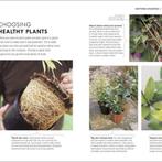 RHS How To Garden When Youre New To Gardening : The Basics, Verzenden, Zo goed als nieuw, The Royal Horticultural Society