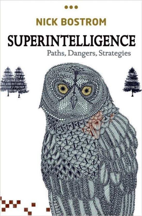 Superintelligence Paths Dangers Strategi 9780199678112, Livres, Langue | Anglais, Envoi