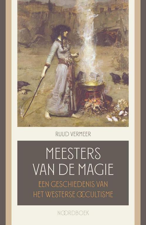 Meesters van de magie 9789464712797 Ruud Vermeer, Boeken, Esoterie en Spiritualiteit, Zo goed als nieuw, Verzenden