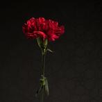 Ursula van de Bunte - Peppers