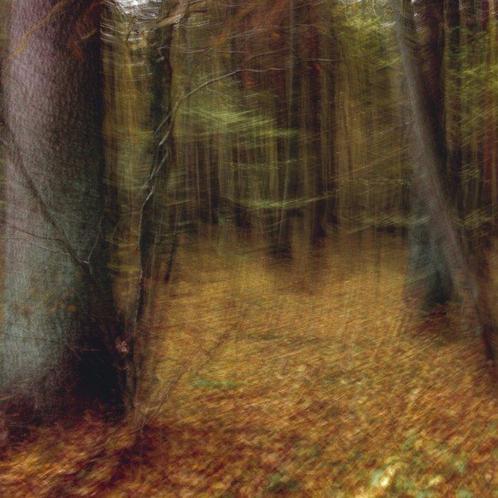 Pedro Pral - Dancing Fall, Antiek en Kunst, Kunst | Schilderijen | Modern