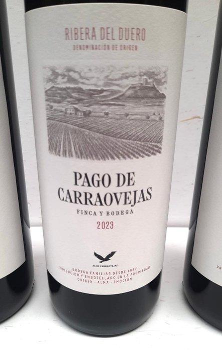 2023 Pago de Carraovejas - Ribera del Duero - 3 Flessen, Verzamelen, Wijnen